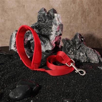 Correa acolchada de pana para perros