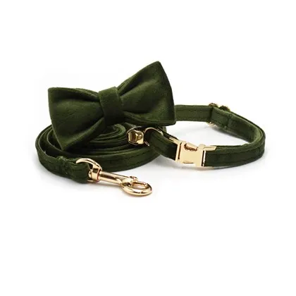 Conjunto de collar para gato de terciopelo verde militar